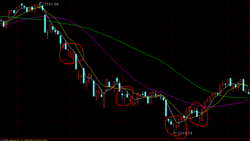 张家口市新的社会阶层人士联谊会成立